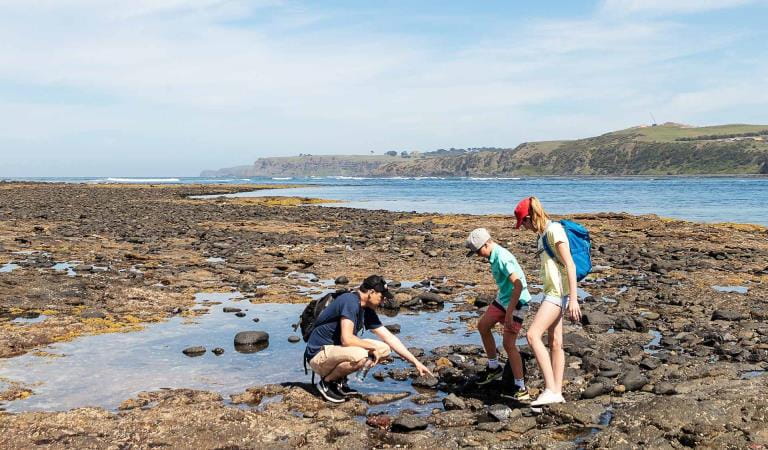A father goes rockpooling with his two young children at Mushroom Reef.