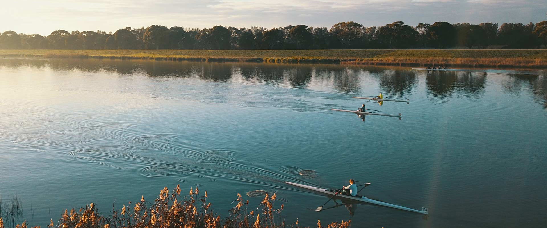Three single scul rowers row along a river early in the morning