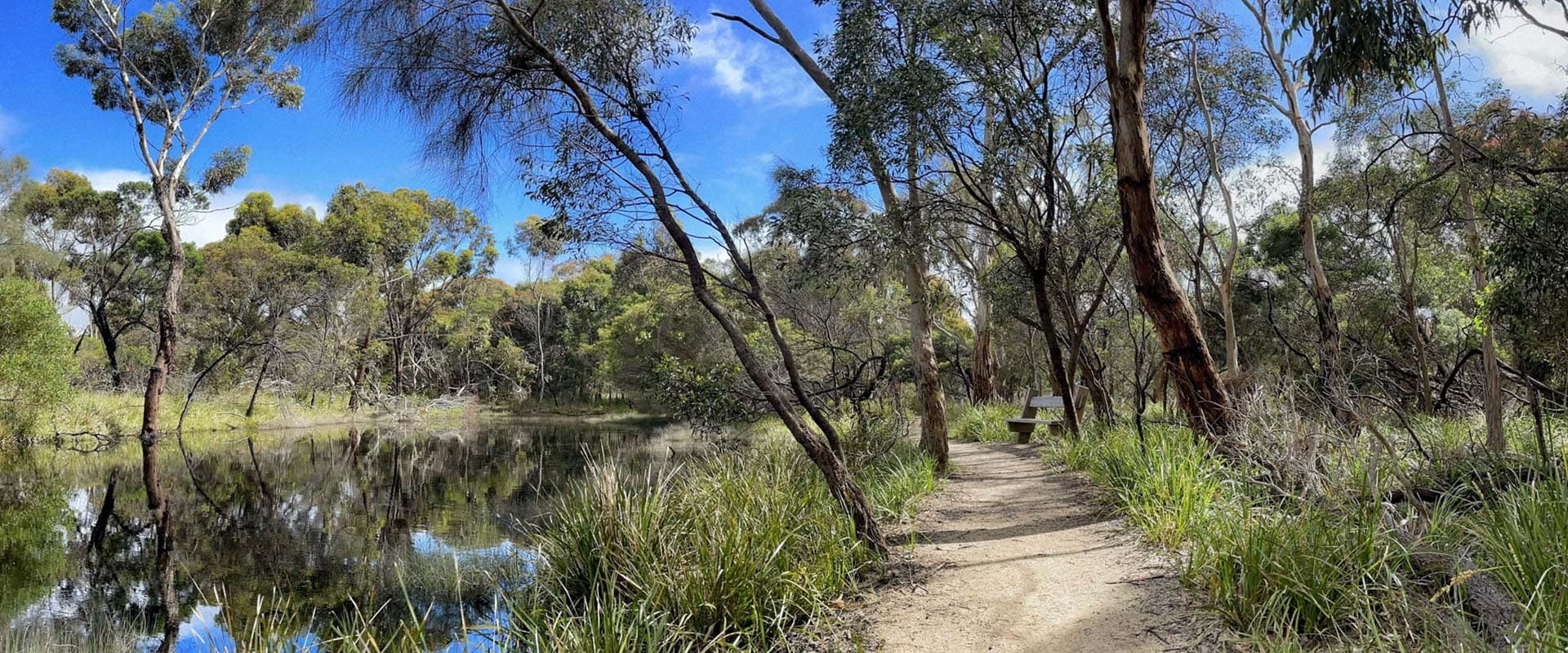 A dirt trail leads towards a wooden bench that overlooks a small lake in a rugged bushland
