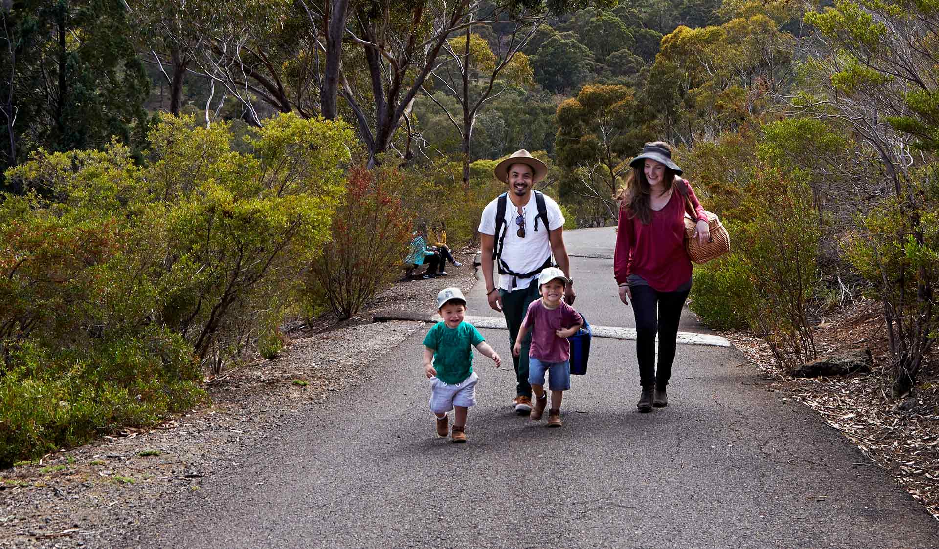 A young mother and father walking behind their two toddlers along the Organ Pipes Track on their way to a picnic