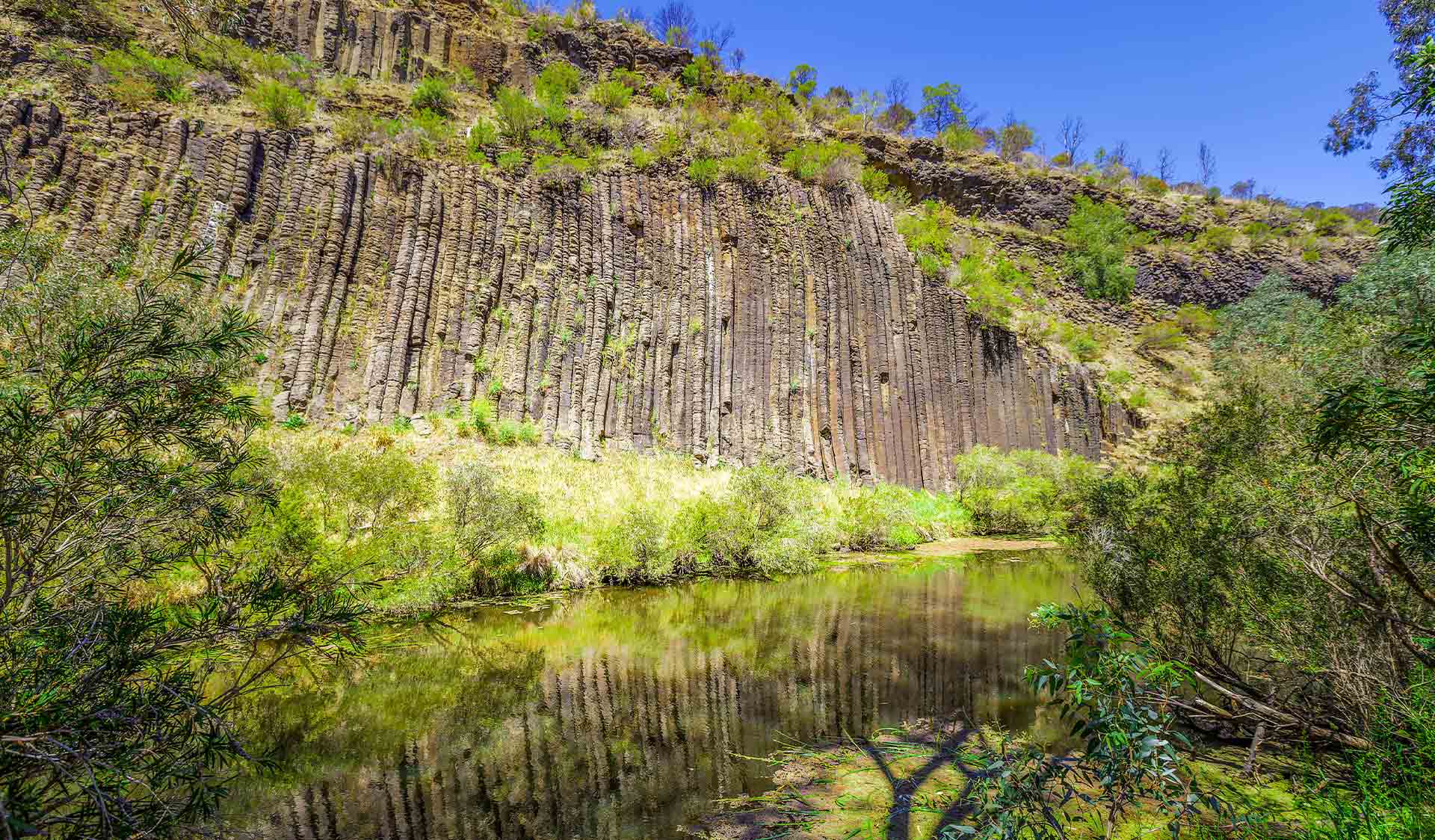 The rock formation know as the Organ Pipes from which the national park is named