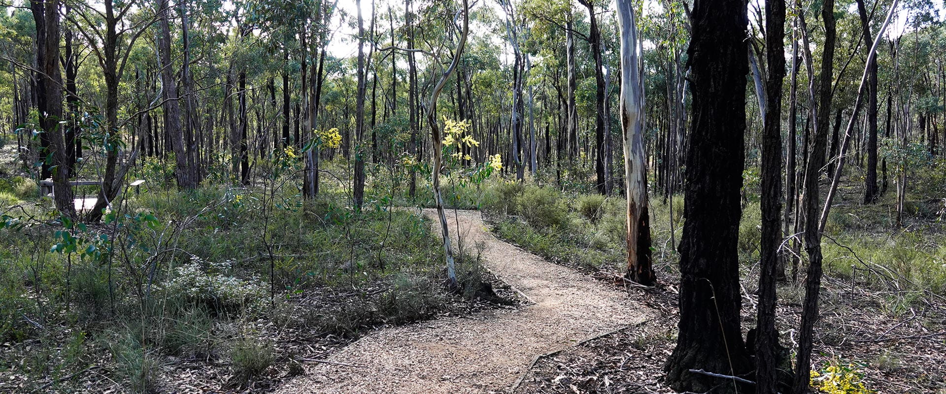 Paddys Ranges State Park