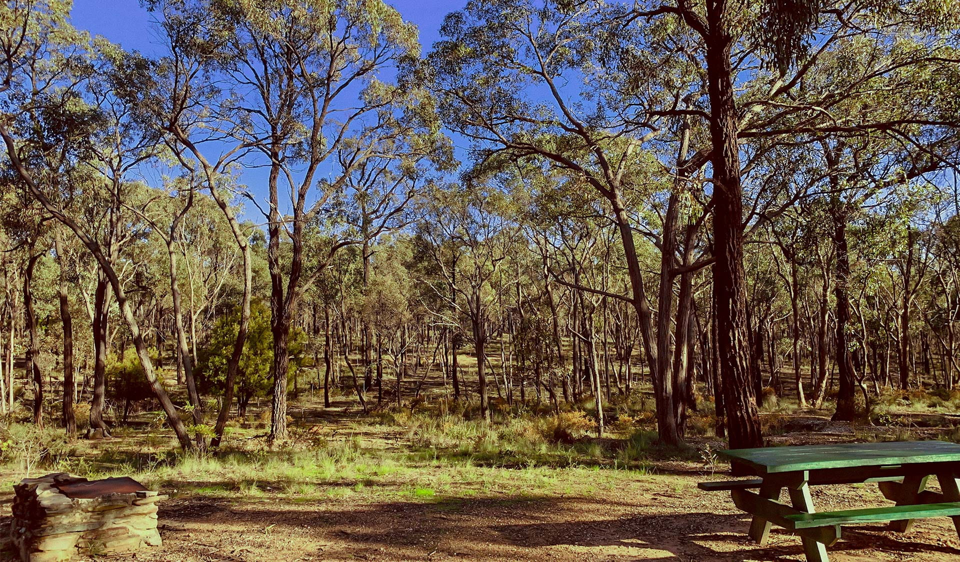 Paddys Ranges State Park