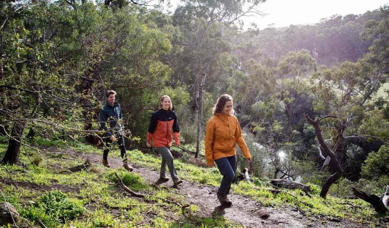 Three friends walk along side the Plenty river near Nioka Bushcamp