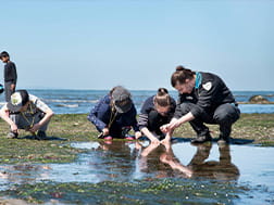 A group of school children go rock pooling with a ranger at Point Cook Coastal Park.