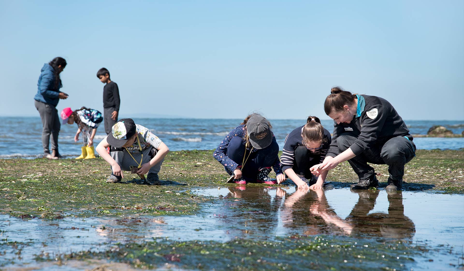 A group of school children go rock pooling with a ranger at Point Cook Coastal Park. 