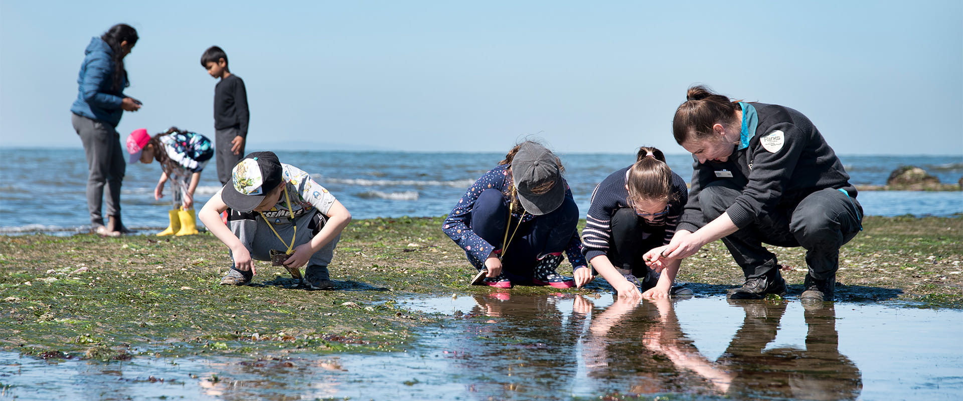 A group of school children go rock pooling with a Parks Victoria ranger at Point Cook Coastal Park.