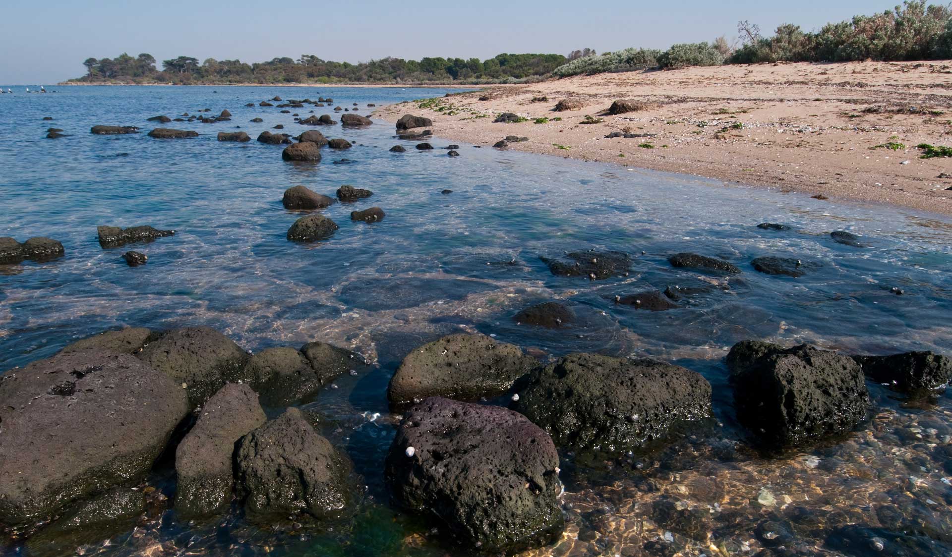 The water's edge at Point Cook Marine Sanctuary