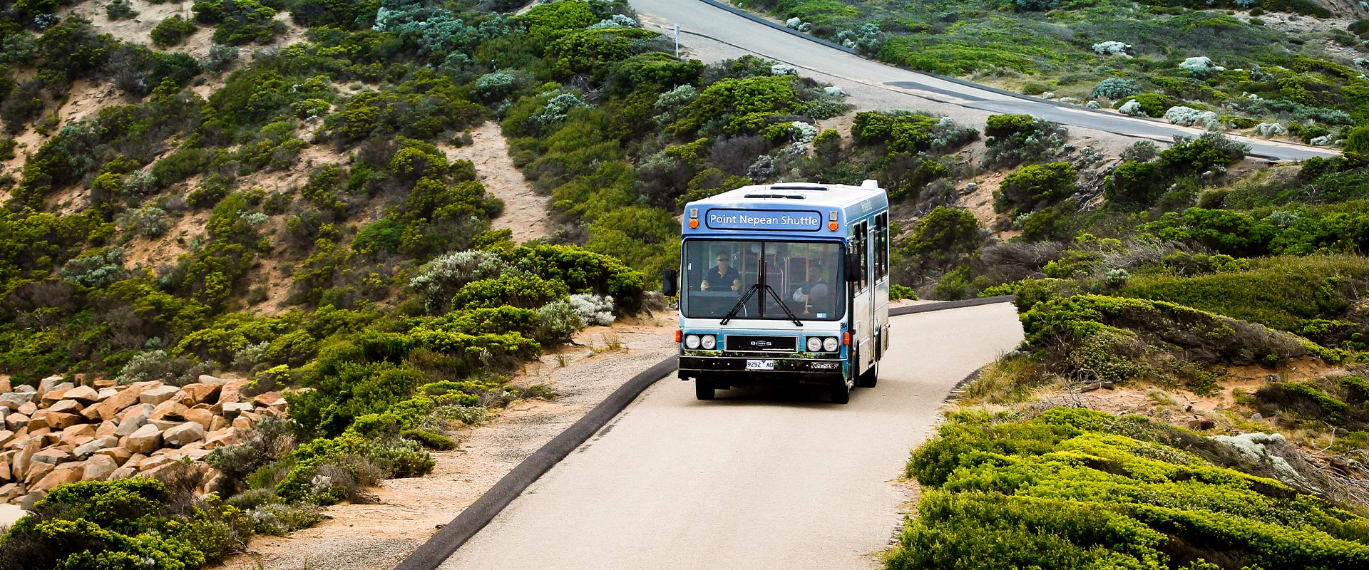A bus drives along a narrow road with coastal shrubs eithers side
