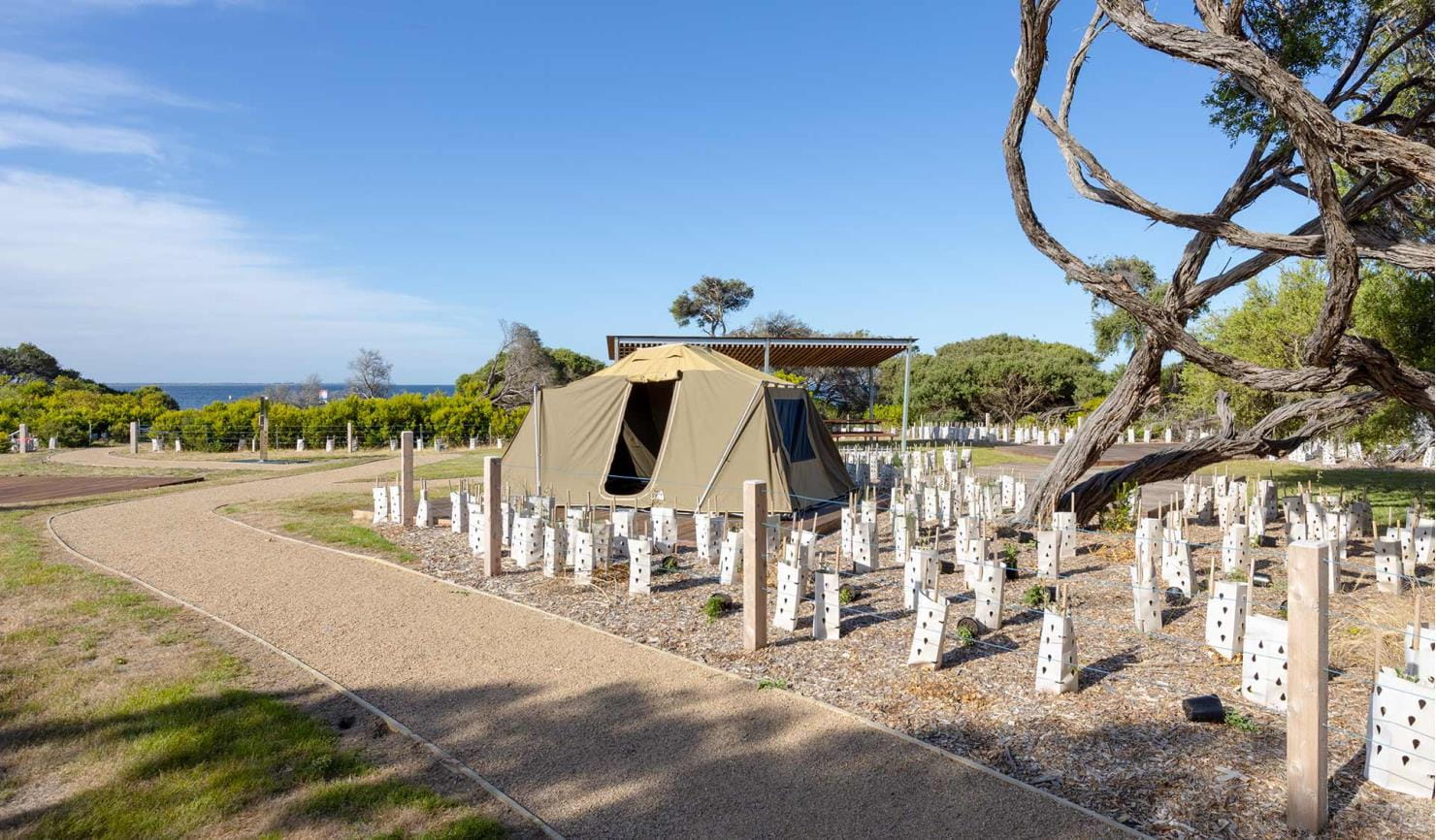 A tent set up on grass in a coastal landscape