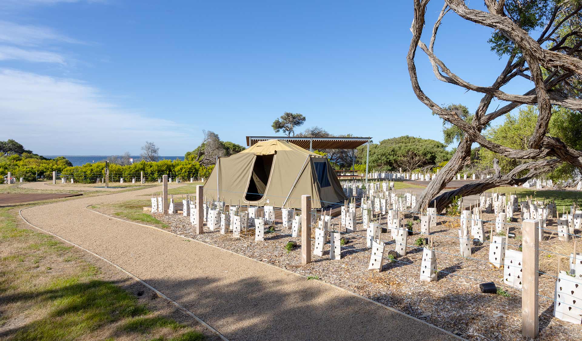 A tent set up on grass in a coastal landscape