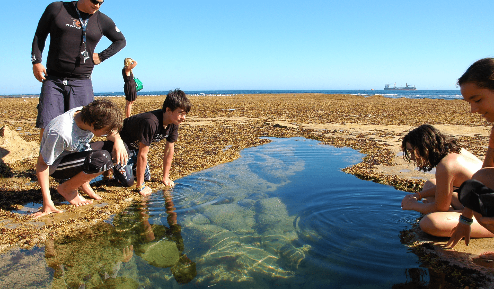 A group of children rockpooling in Port Phillip Heads Marine National Park
