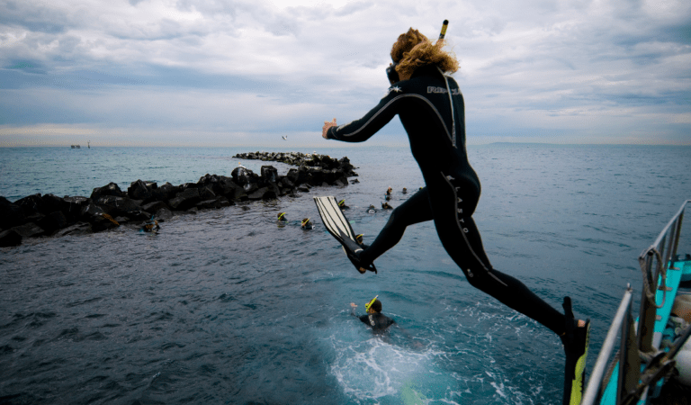 A snorkeller jumps into the water from a boat, Port Phillip Heads Marine National Park