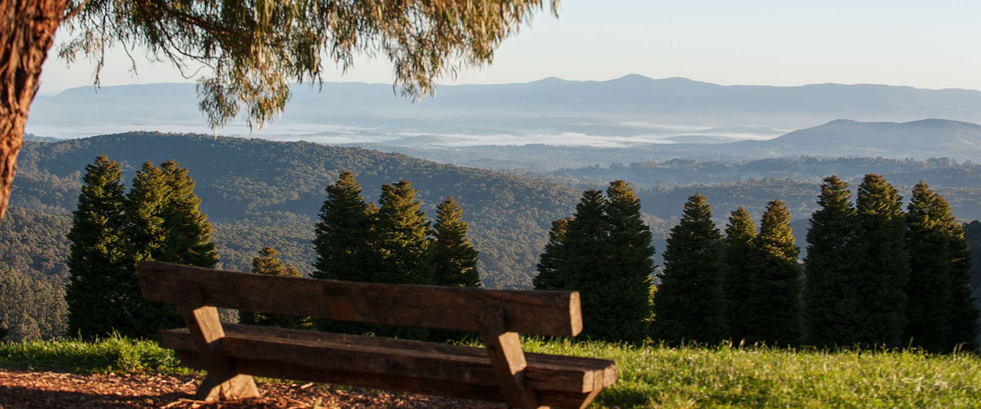 A spectacular view of the Dandenong ranges from a treelined wooden seat