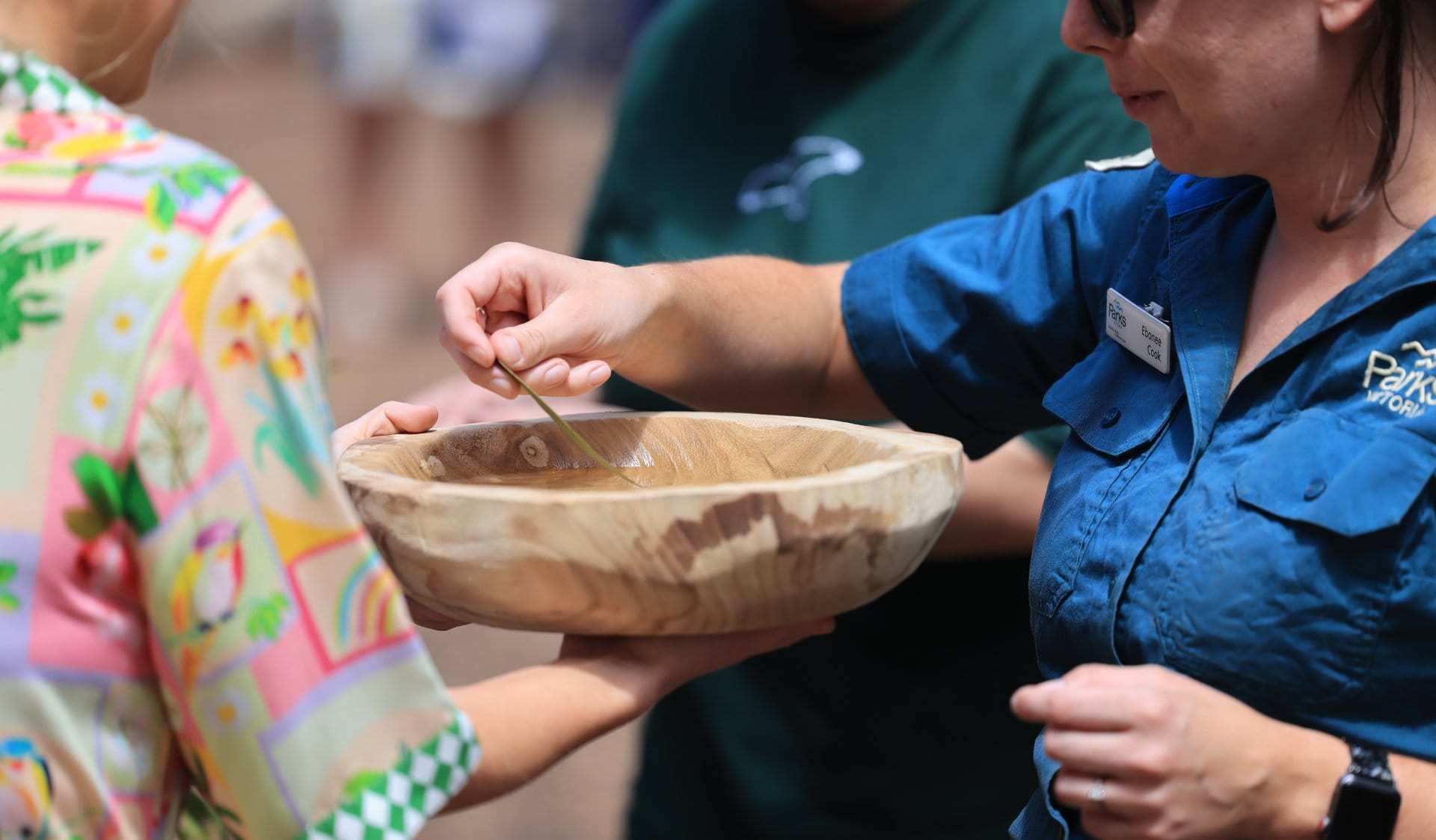 A Parks Victoria Ranger is taking part in a water ceremony conducted by a Wadawurrung woman as part of the Sensory Garden launch. The ranger is dipping a gum leaf in a wooden bowl with water.