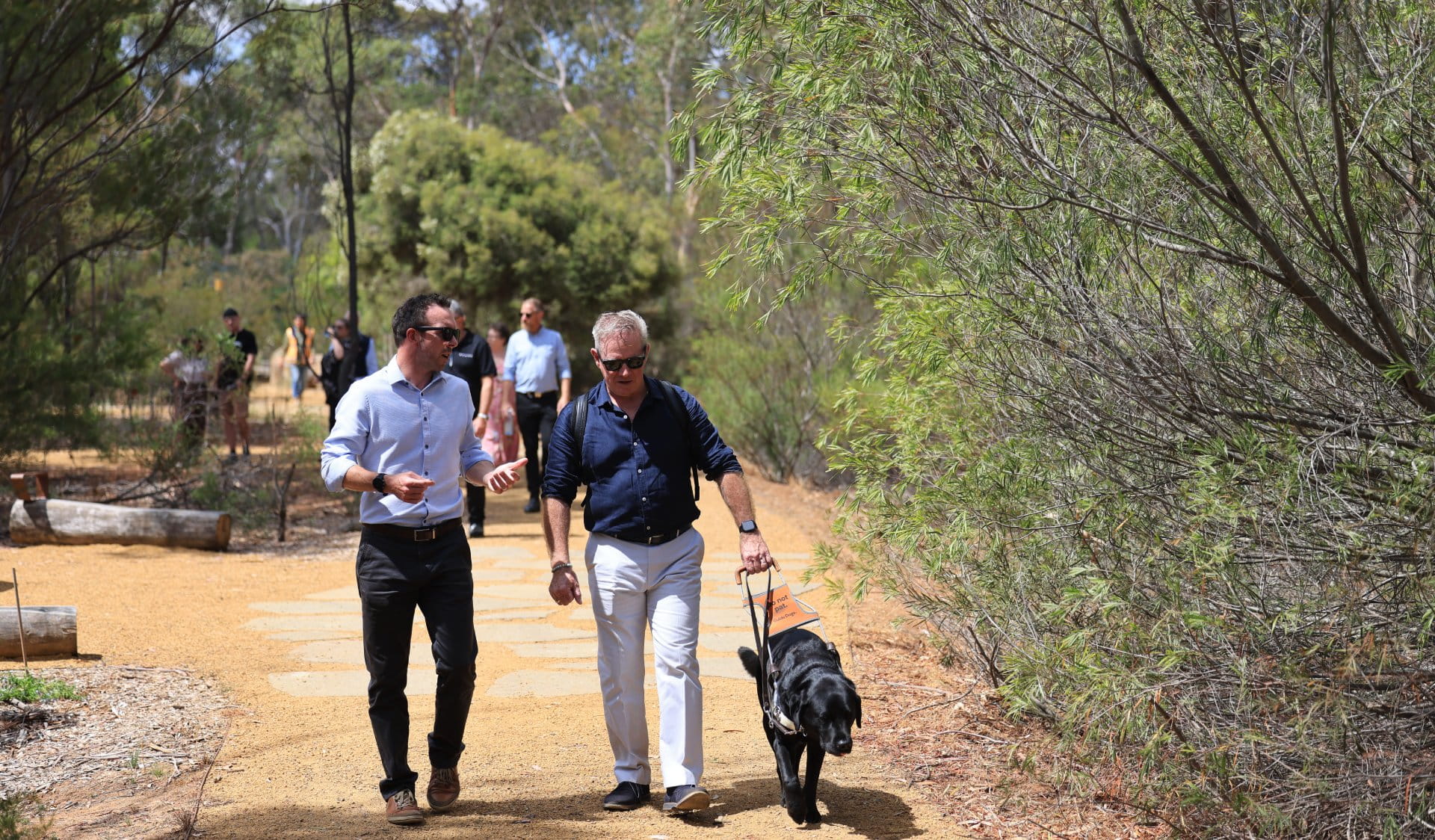 Two men, one with a guide dog, are walking along one of the trails in the Sensory Garden. The trail has compacted gravel and basalt pavers. On the right of the trail are native shrubs and trees. There are more people walking along the trail in the background. 