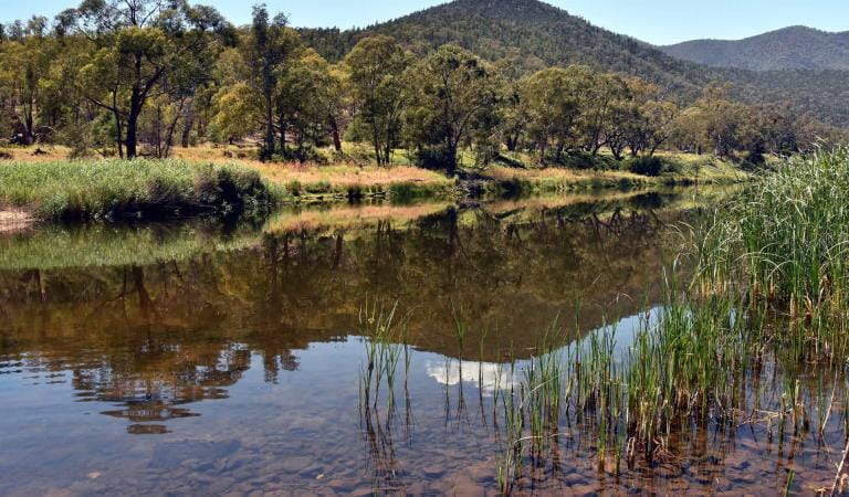 The Snowy River with mountains in the background.