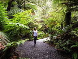 A woman walks through a path at Tarra-Bulga National Park.