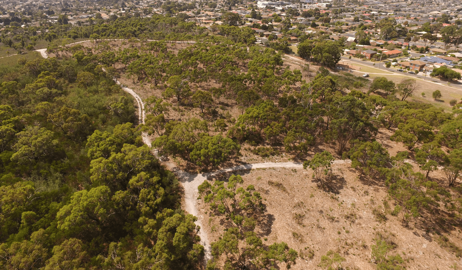 An aerial view of The Pines Flora and Fauna Reserve