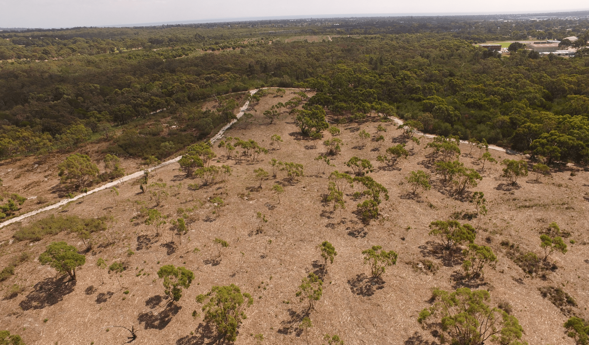 An aerial view of the The Pines Flora and Fauna Reserve