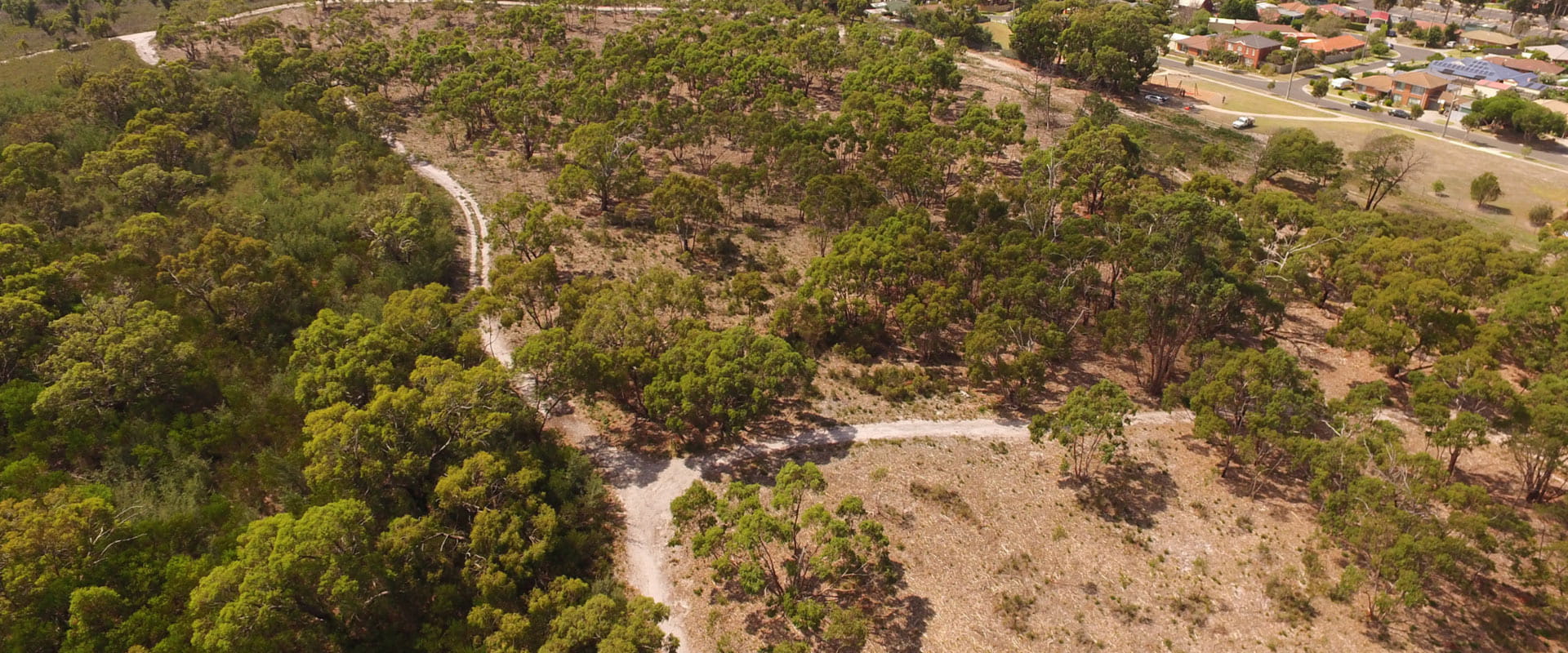 An Aerial view that looks down at dirt covered trails and rigged bushland on the edge of suburban streets