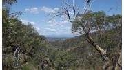 Mountain views to the east of the Warby-Ovens National Park