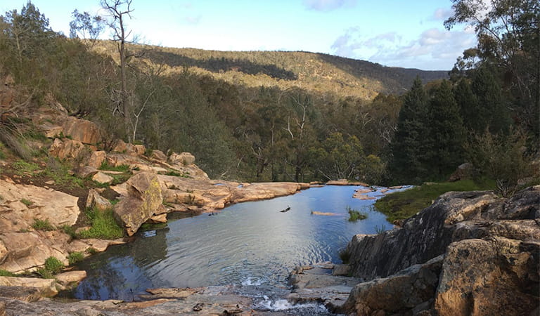 Pine Gully at Warby Ovens National Park.