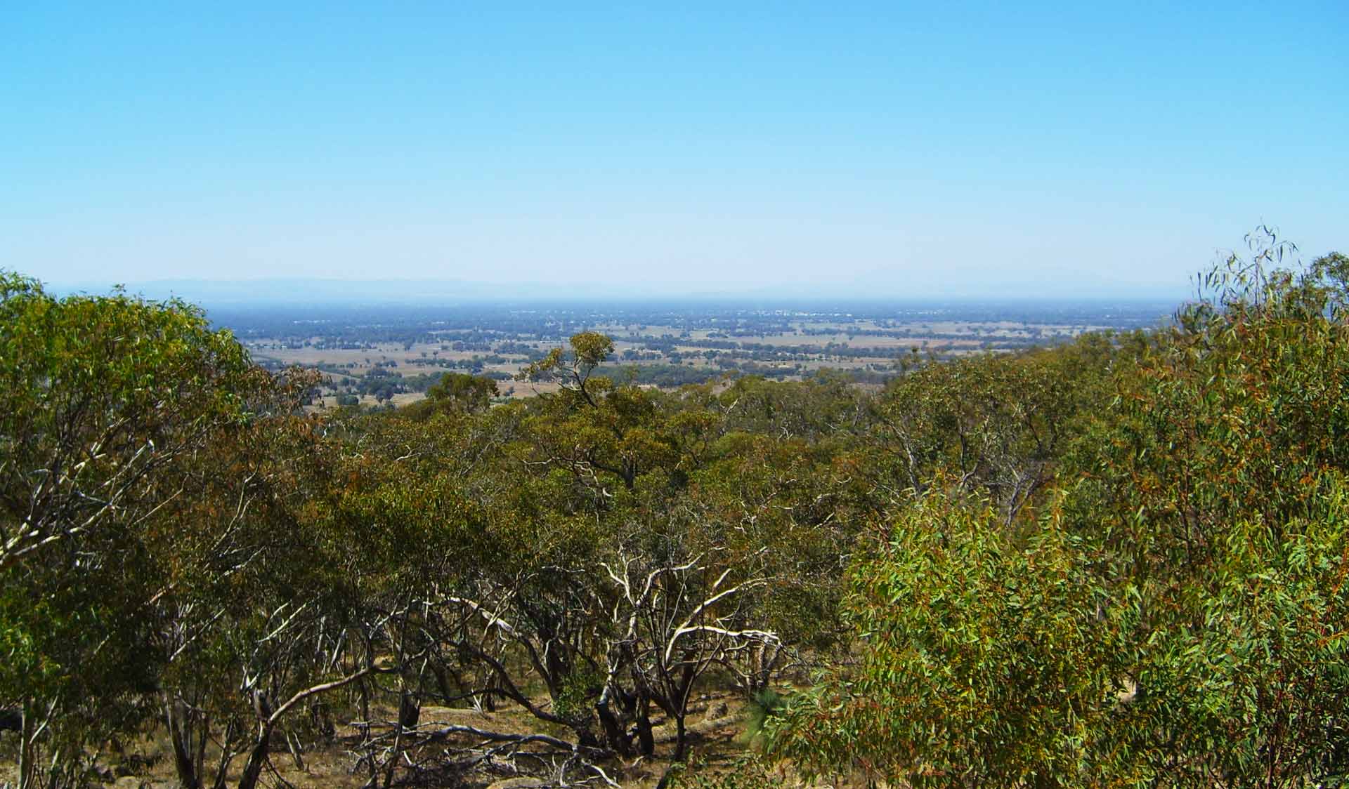 Views to the West of the Warby-Ovens National Park