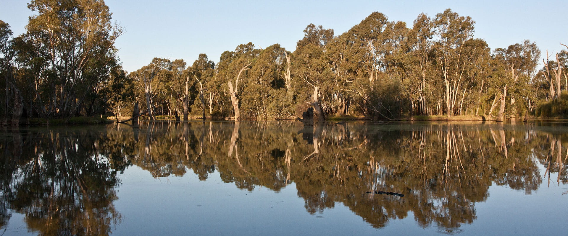 The reflection of the sky in the Ovens River wetlands in the Warby-Ovens National Park.