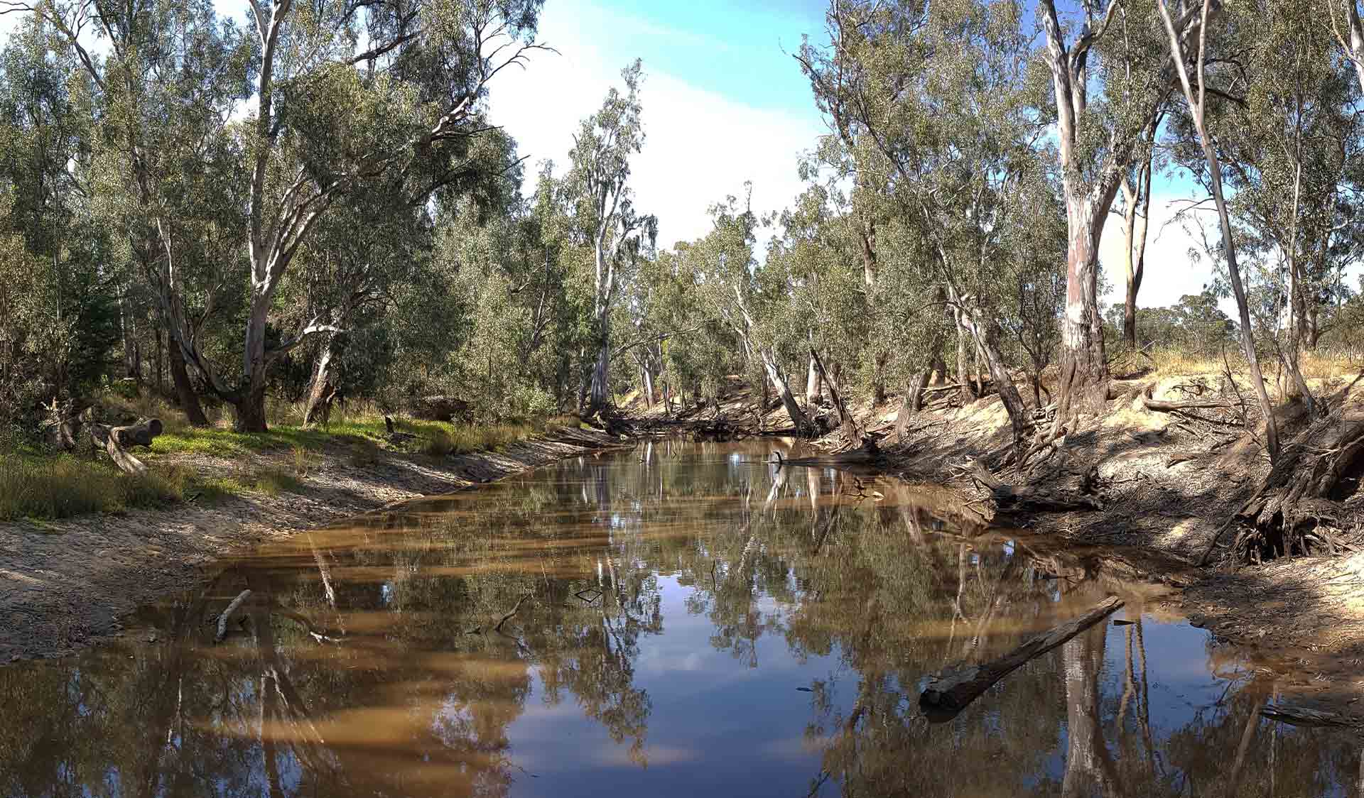 The reflection of the sky in the Ovens River wetlands in the Warby-Ovens National Park