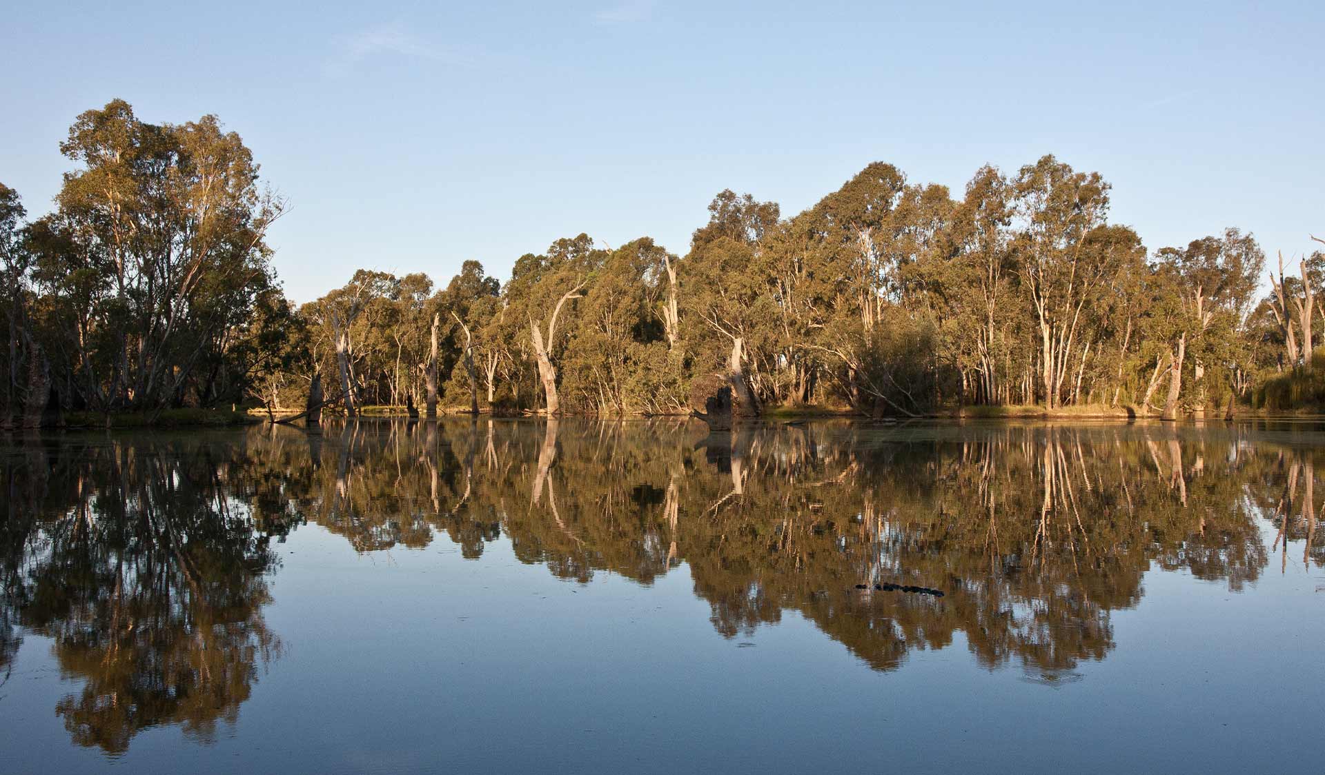 The reflection of the sky in the Ovens River wetlands in the Warby-Ovens National Park