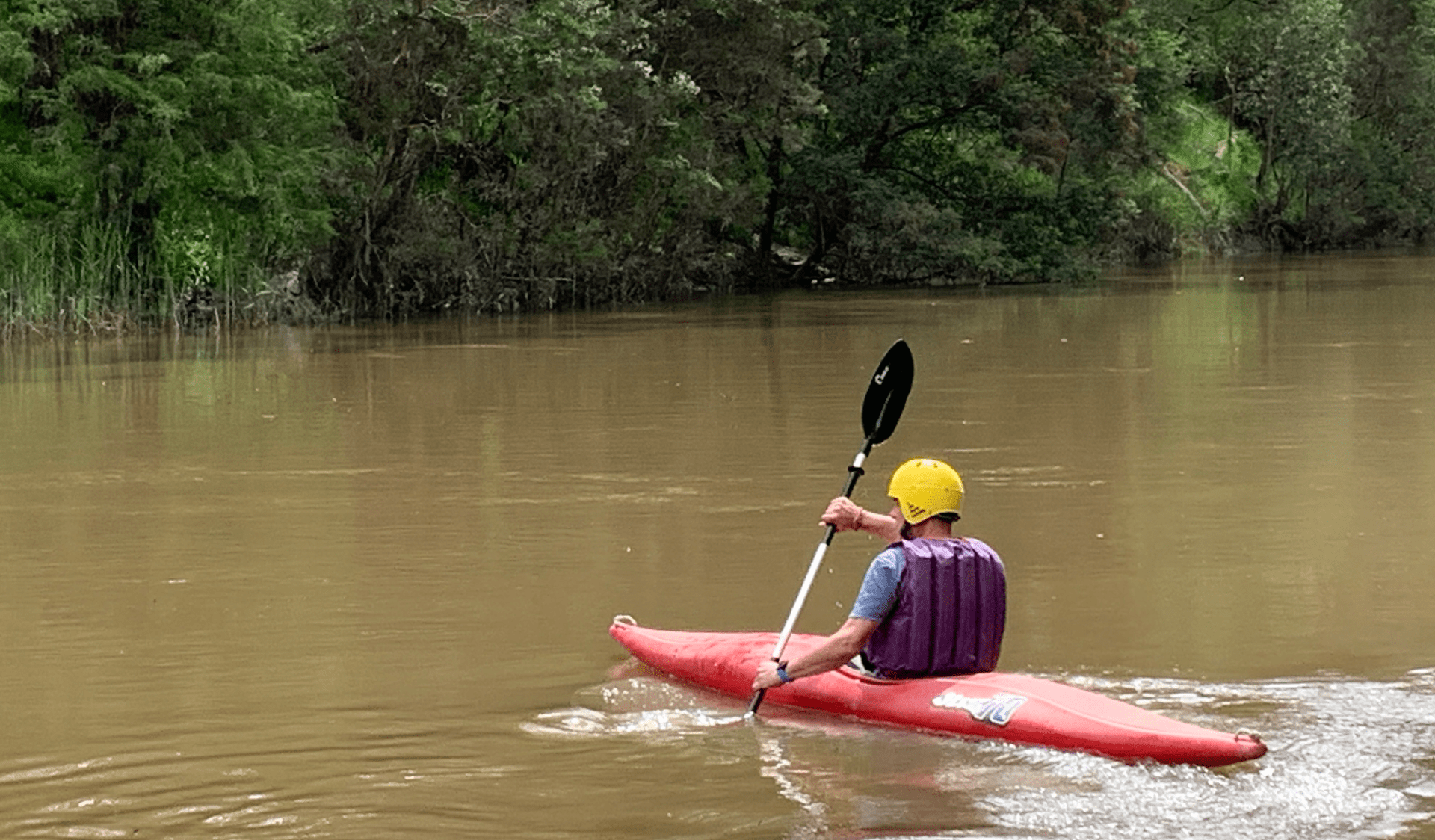 A man kayaking in Warrandyte State Park