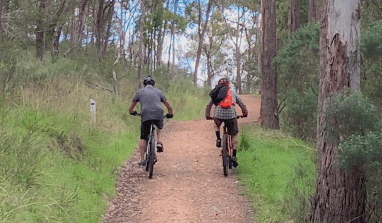 Mountain biking in Warrandyte State Park