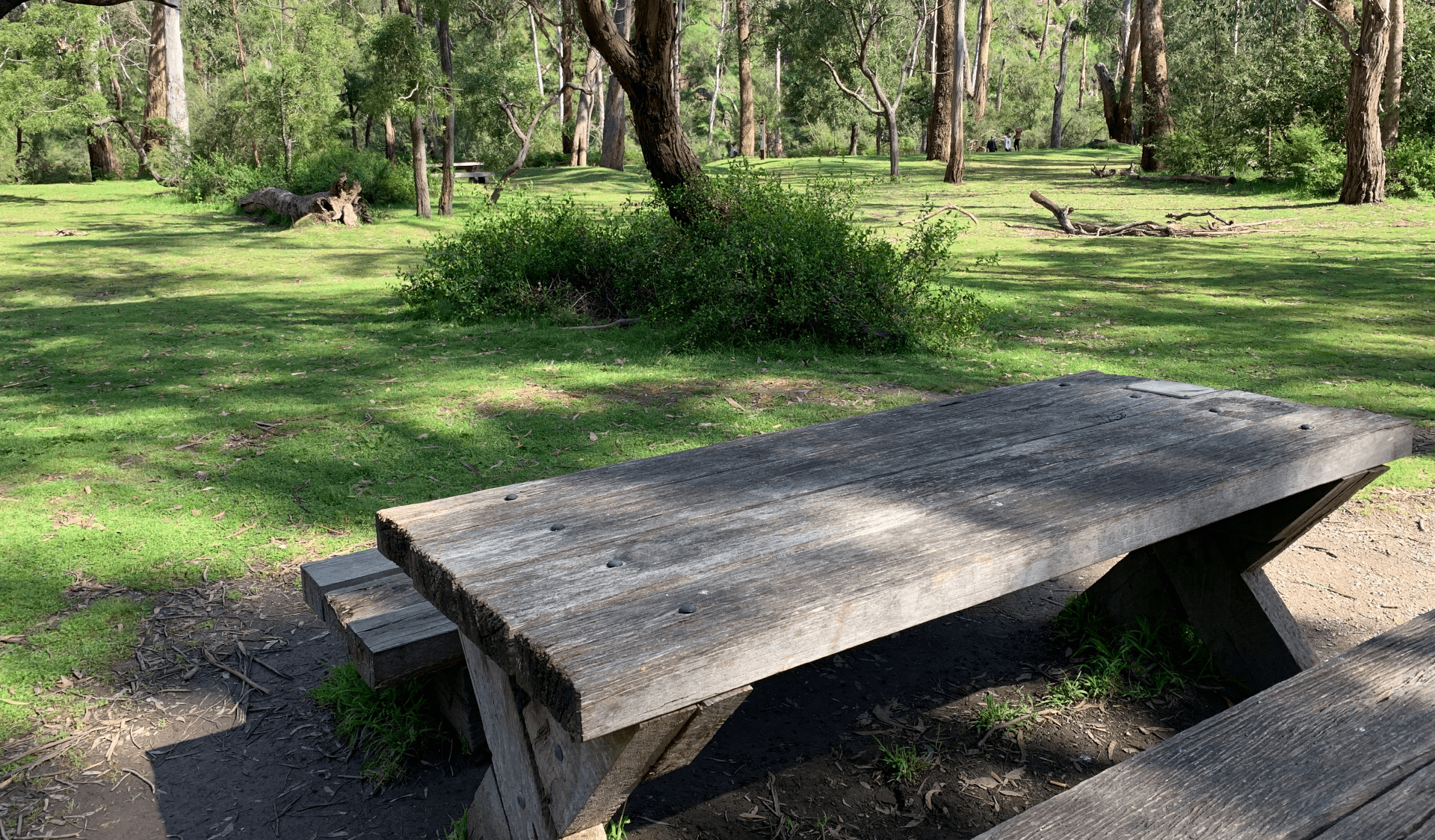 A picnic table in Warrandyte State Park