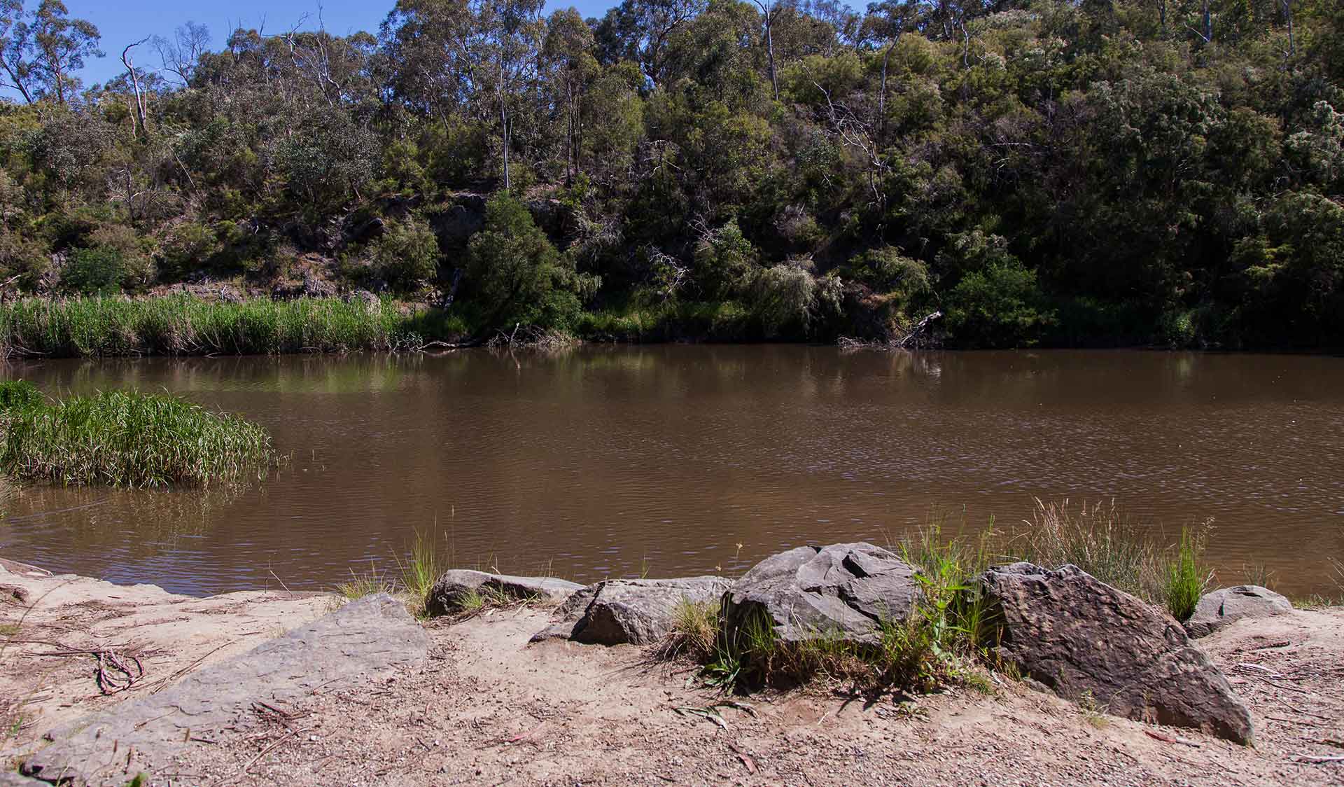 The canoe launch at the edge of the Yarra River at Jumping Creek Reserve in the Warrandyte State Park