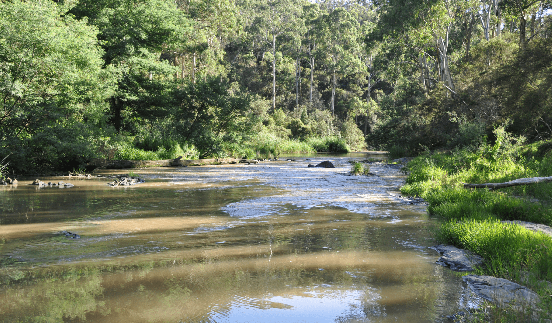 The Yarra River in Warrandyte State Park