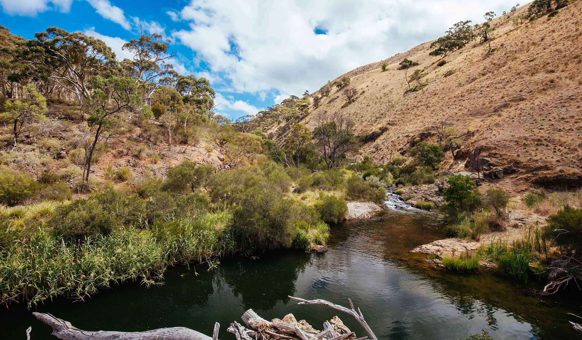 The Werribee River flowing through Werribee Gorge State Park