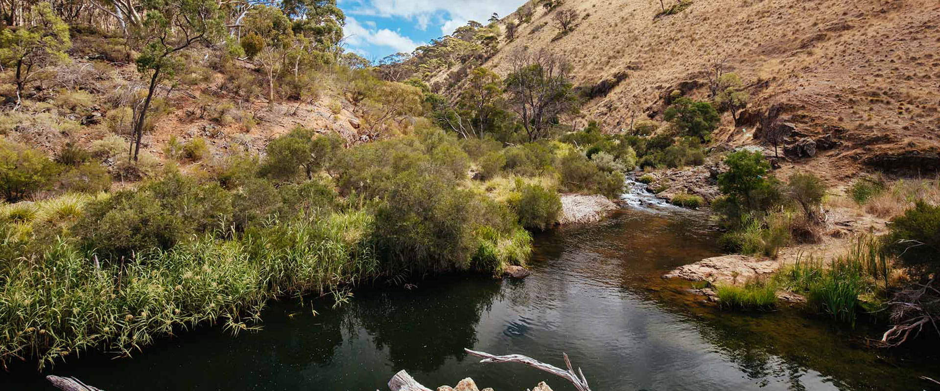 A view of the creek from within the Gorge, a small waterfall flows in the background.