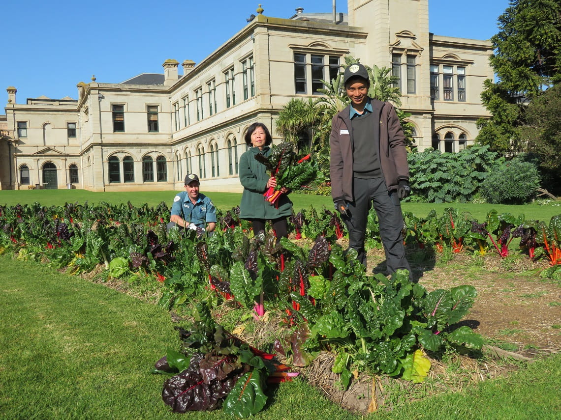 Parks Victoria Rangers transformed the historic mansion's parterre from floral display to edible crop  with the help of community volunteers.