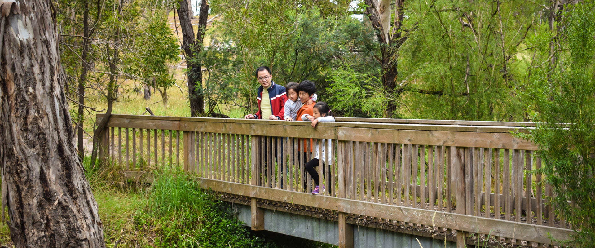 A family are stopped on a footbridge looking down into a body of water. They're surrounded by trees and green parklands. 
