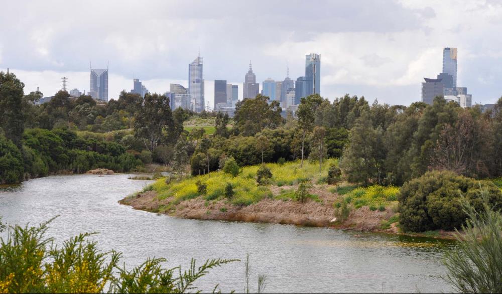 The wetlands at Westgate Park in front of Melbourne's CBD skyline