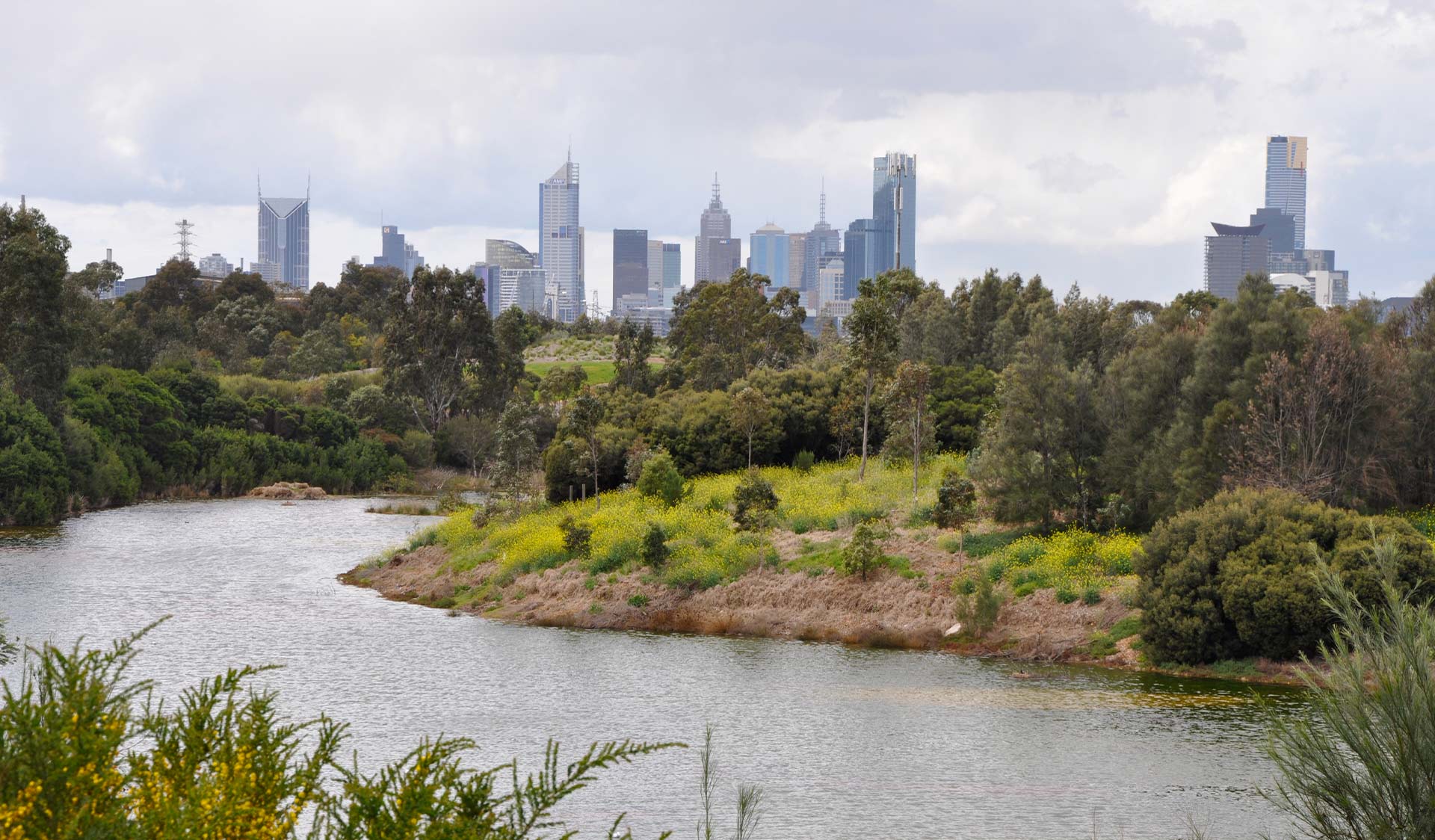 The wetlands at Westgate Park in front of Melbourne's CBD skyline