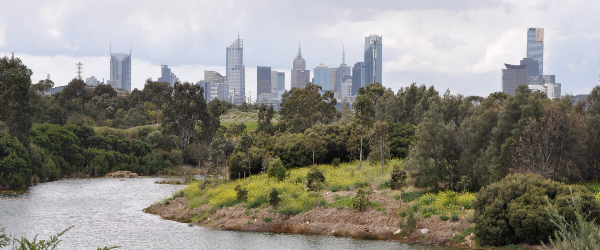 A winding river with green vegetated banks. The tips of Melbourne tall skyscrapers in the background. 
