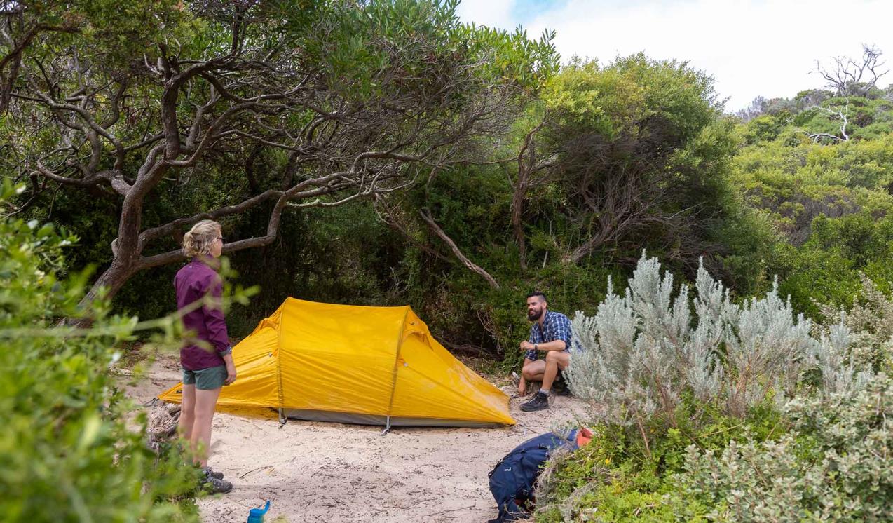 A man and women set up their tent amid the sand dunes at Oberon Bay Campground on the Southern Circuit hiking trail at Wilsons Promontory National Park