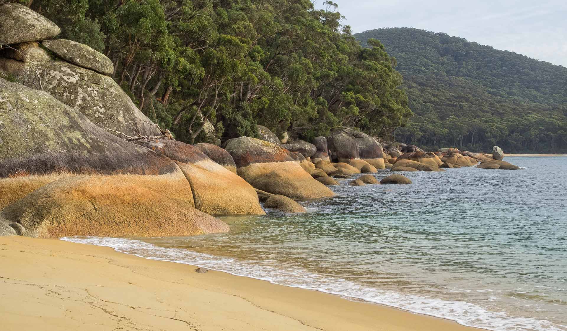 Refuge Cove Camping Area