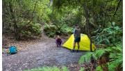 A man and women set up a yellow tent at Roaring Meg on the Southern Circuit hiking trail at Wilsons Promontory National Park