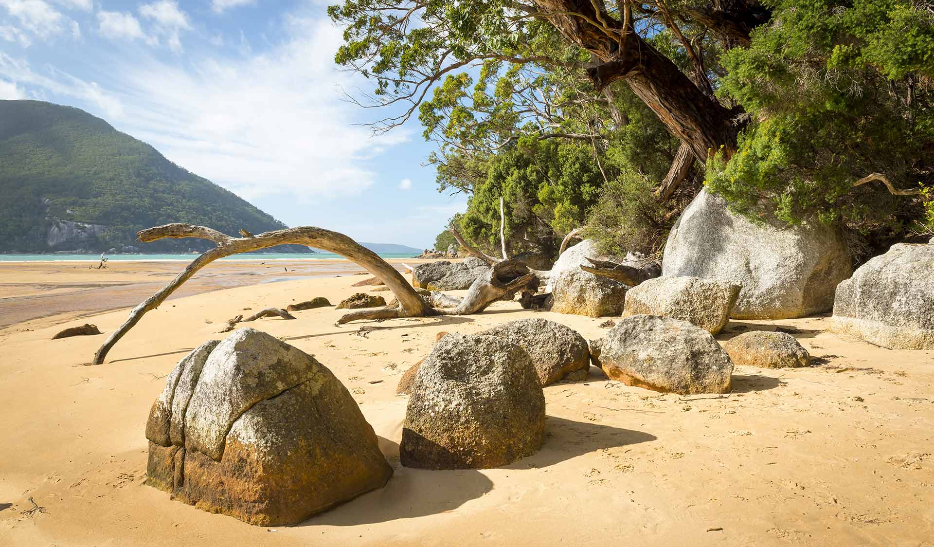 Sealers Cove Camping Area