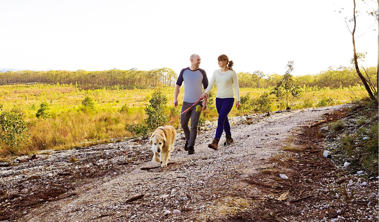 A couple walking their dog on lead along a track.