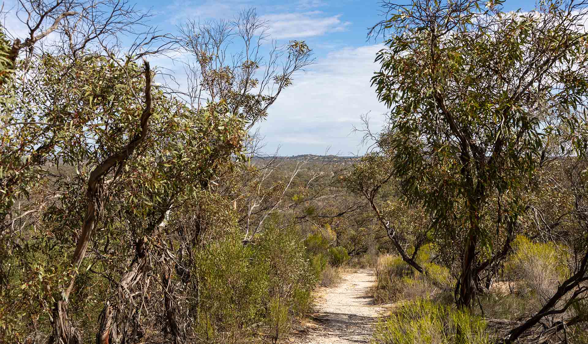 The view from the Eastern Lookout at Wyperfeld National Park 