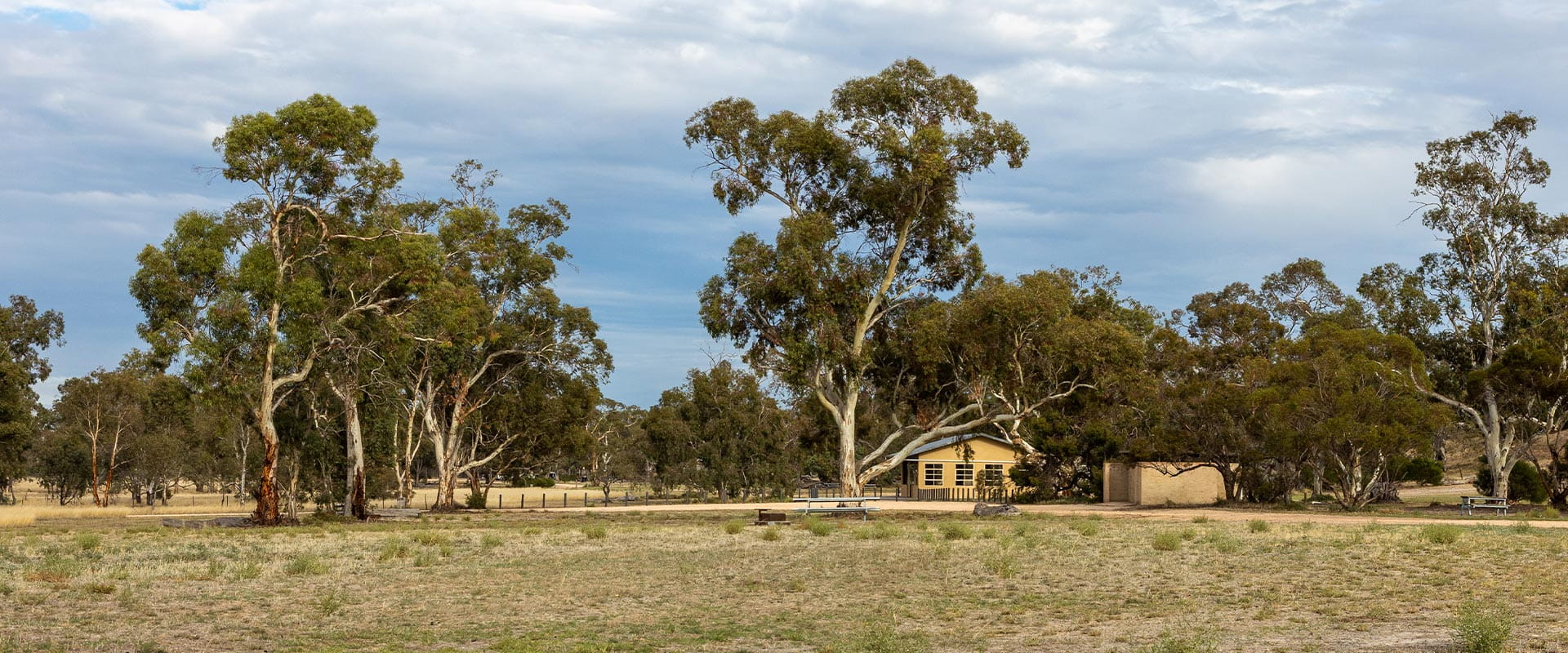 Large river red gums line a clearing next to a picnic table and facilities block.